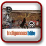 Click for Indigenous Blue